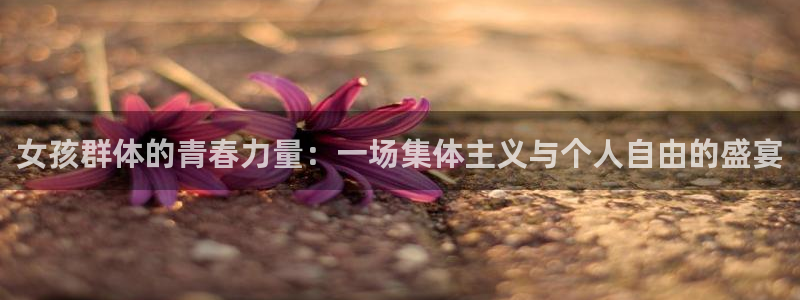 球速体育