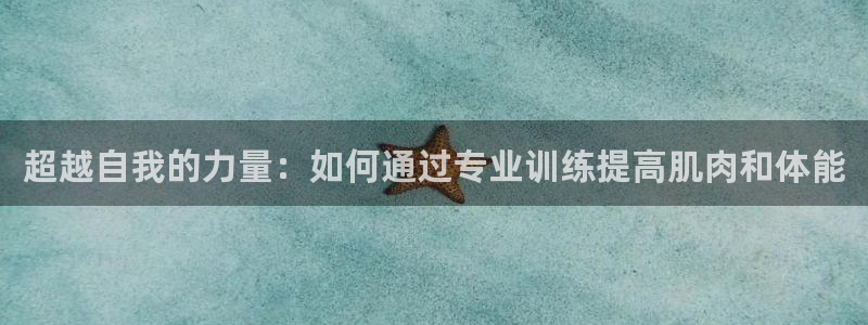 球速体育