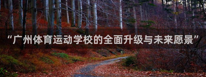 球速体育