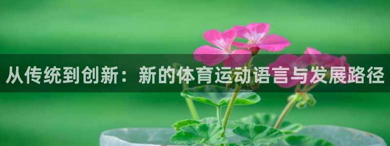 球速体育