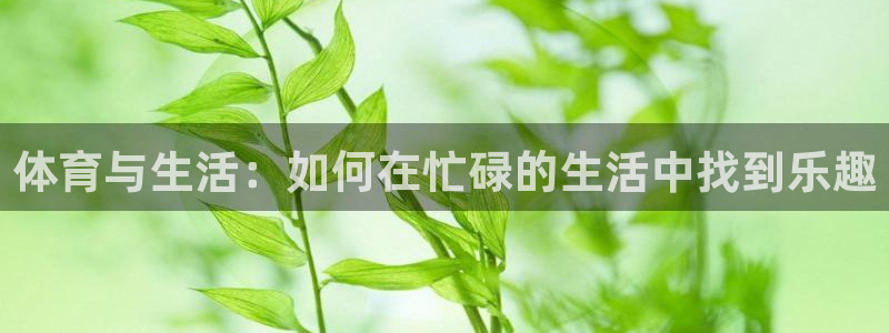 球速体育