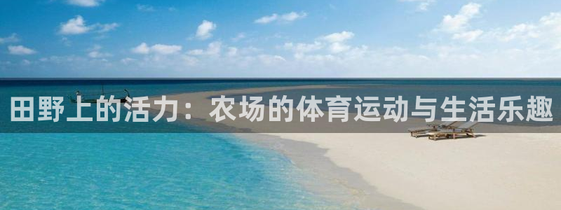 球速体育