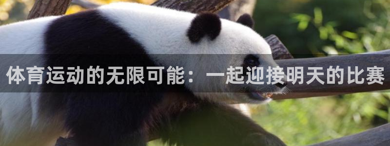 球速体育