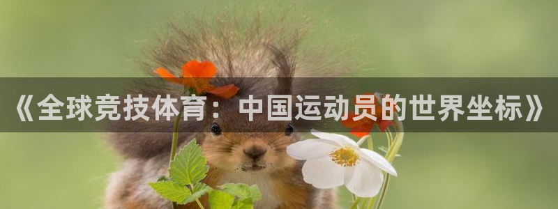 球速体育
