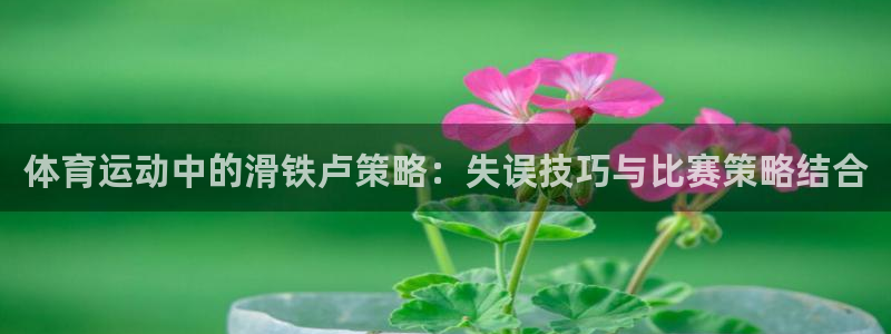 球速体育