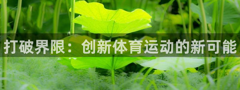 球速体育