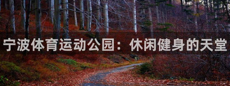 球速体育