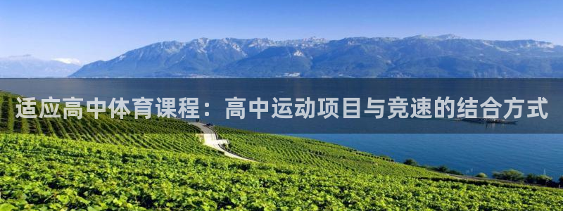 球速体育