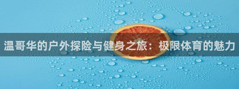 球速体育