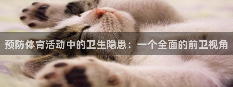球速体育