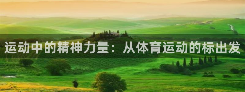 球速体育