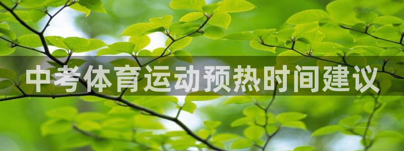 球速体育