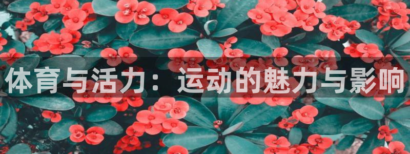 球速体育