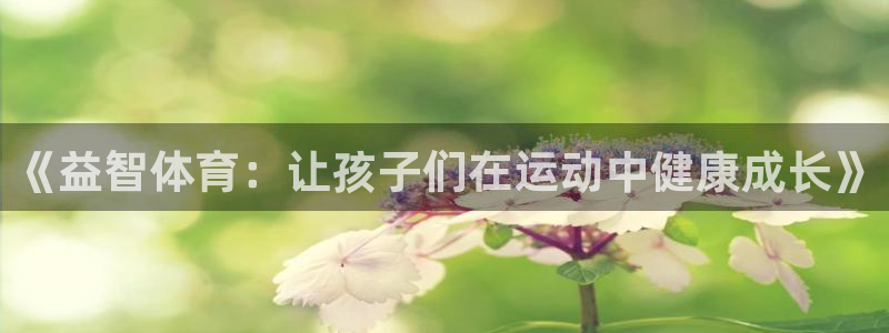 球速体育