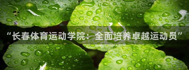 球速体育